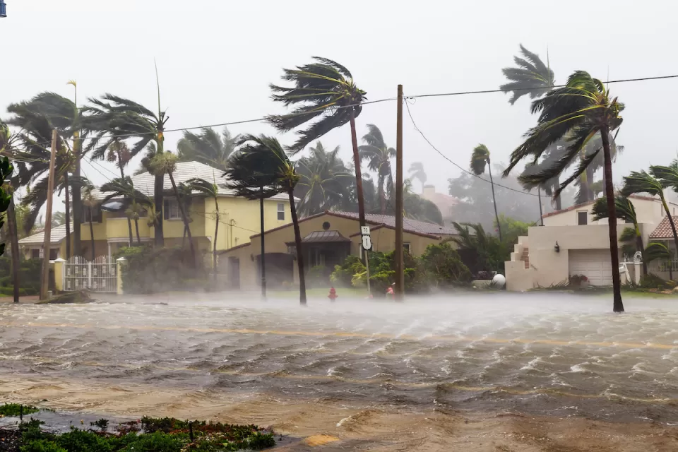 Flooded street with two-story homes and palm trees being blown in the wind during a hurricane in Miami, Florida.